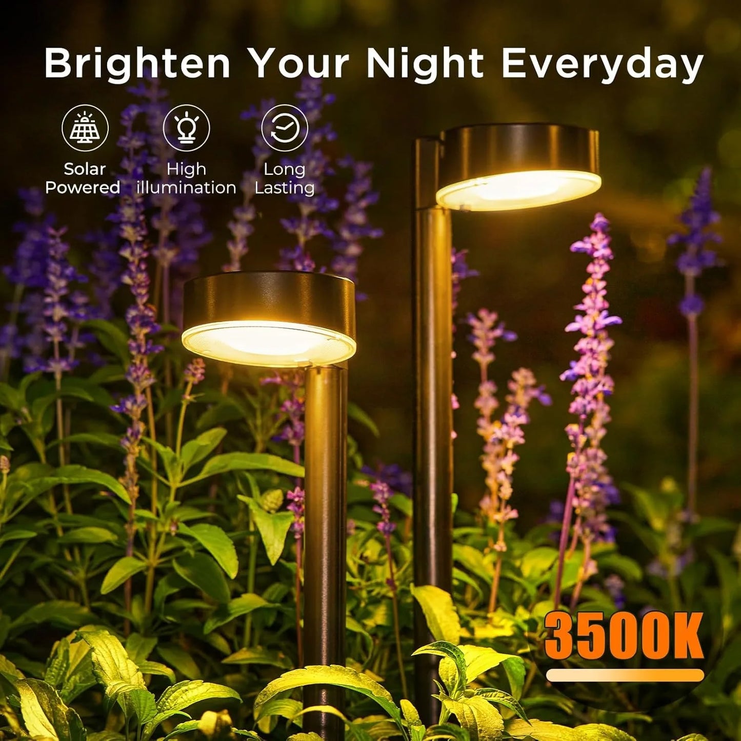 Luxury Solar Pathway Lights for Outdoor - Pack of 8