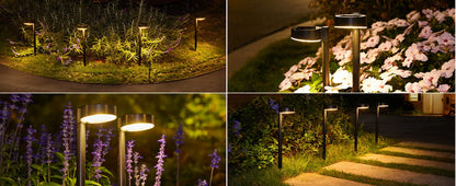 Luxury Solar Pathway Lights for Outdoor - Pack of 8