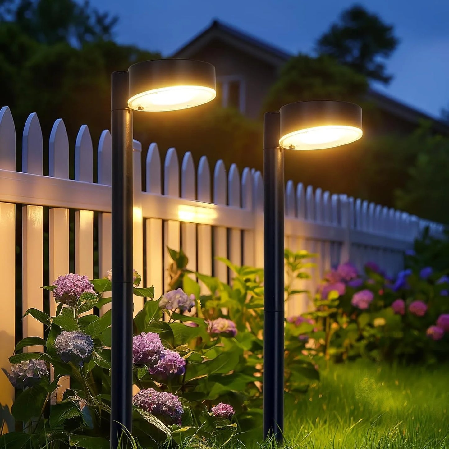 Luxury Solar Pathway Lights for Outdoor - Pack of 8