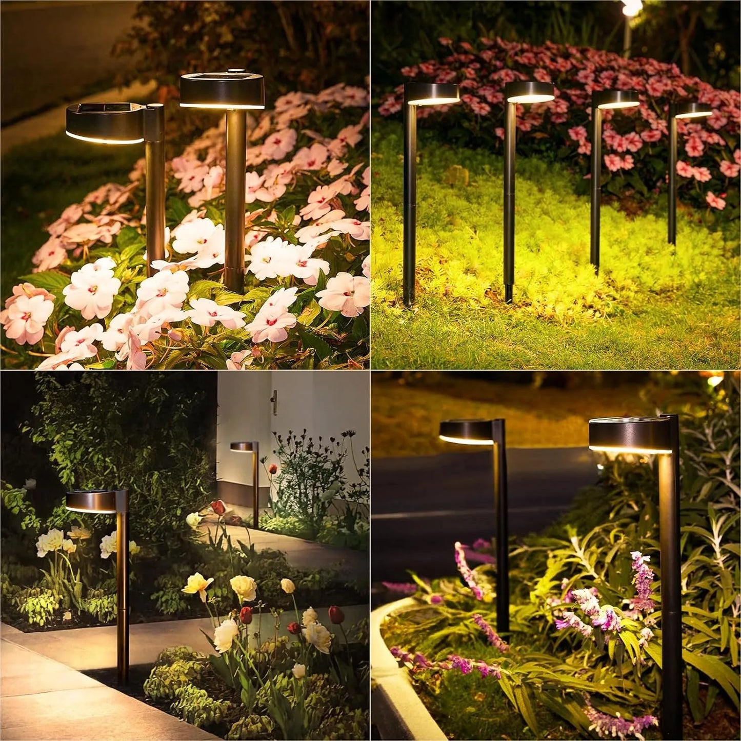 Luxury Solar Pathway Lights for Outdoor - Pack of 8